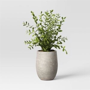 STUDIO MCGEE NWT indoor/outdoor privet faux plant in cement pot -14”